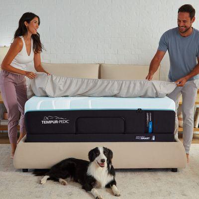 Tempur-Pedic Mattresses NOW available at Mattress Dogzzz in Valley Park MO