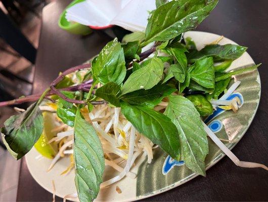 Bean sprouts, Mint, Limes for Pho