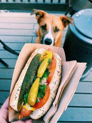 the Chicago hot dog is a MUST