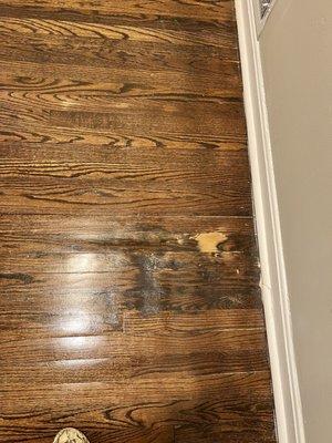 Living room floor rotting