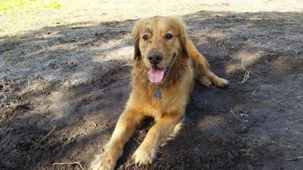 Love rolling in the sand