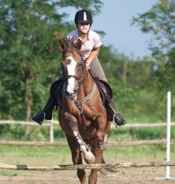 Equine Accounting Services