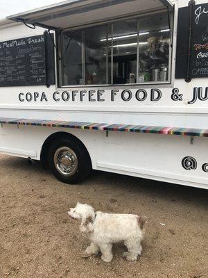 Such a cool looking truck. Dogs seem to love it too!