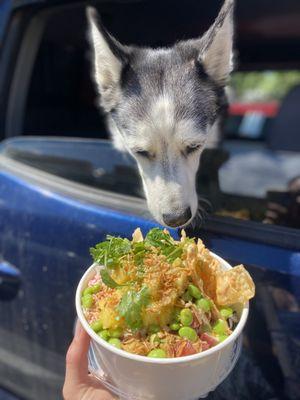 Poke bowl, even the dog thought it looked good too!