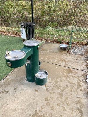 Cute little water fountain area for maximum pup hydration. The metal bin is for the tennis balls and toys.