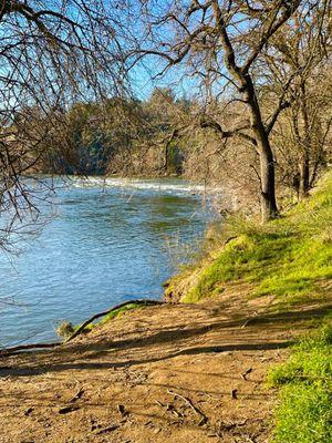 American River Bike Trail