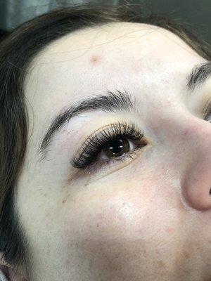 Volume Lashes