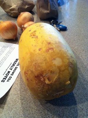 The rotten squash and a couple of rotten onions we received from them.