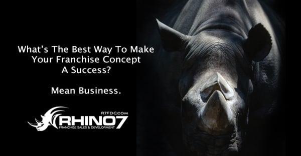 Rhino 7 Consulting