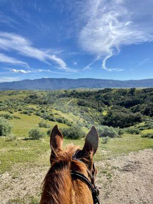 The best view in the Santa ynez valley