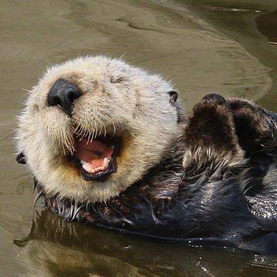 Elkhorn Slough Safari Nature Tours