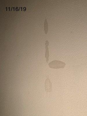 Water spots above my couch in my living room