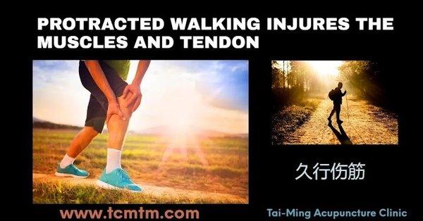 Tai-Ming Acupuncture Clinic: PROTRACTED WALKING INJURES THE MUSCLES AND TENDON