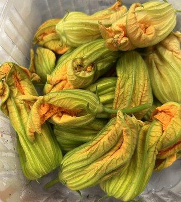 Squash blossoms