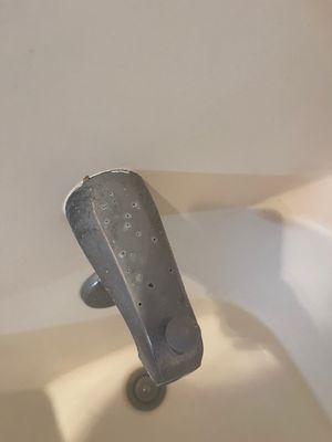 mold on shower faucet