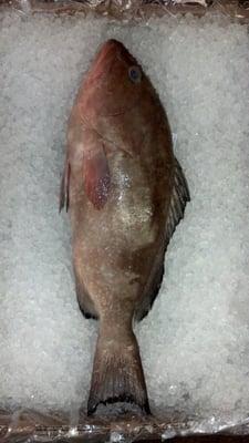 Grouper