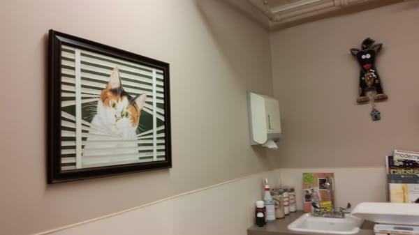 Cute animal art all over this friendly and comfortable vets office!