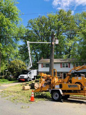 Our practices along with with the best equipment in the tree industry allow us to provide the highest levels of professional services.