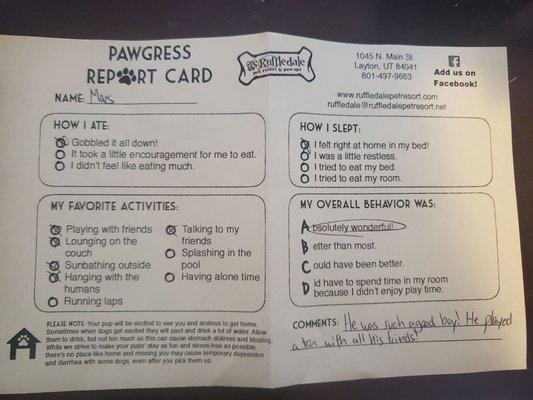 Report card