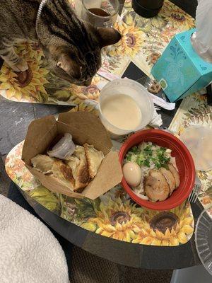 My cat checking out the Tonkotsu Ramen Lite and S4. Pork Gyoza (6 Pc)