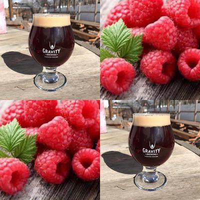 Newton's Raspberry Sour Brown