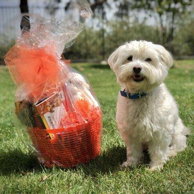 It's a bit over due... but Oliver says "Thank You" for his lovely raffle gift basket