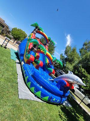 Our brand new 16ft tall Rainbow Dolphin waterslide