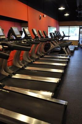 Open cardio room with a wide variety of cardio machines !