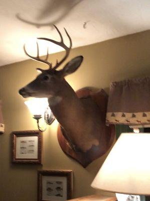 There's a few mounted deer heads, among other things, adorning the walls.