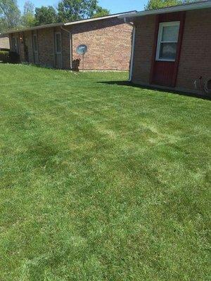 Mowing job