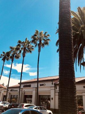 One you get parked and out of your car, look up! Now take a deep breath and be grateful you live in California!