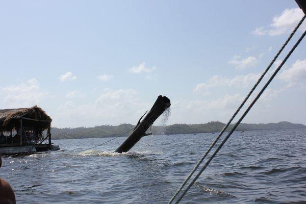 Water reclamation in Central America makes use of submerged forests.