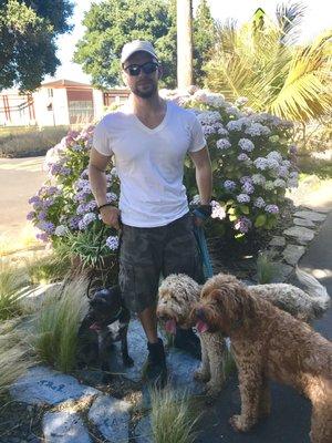 Nibbler, Phoebe, and Zoey on a hot day in Point Richmond.