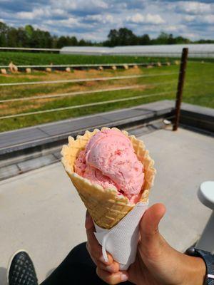 Strawberry ice cream in a waffle cone