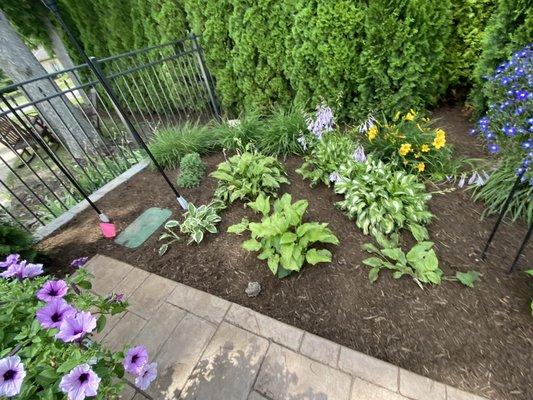 Weeded and mulched garden