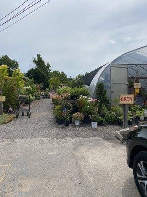 An excellent selection of all types of plants.