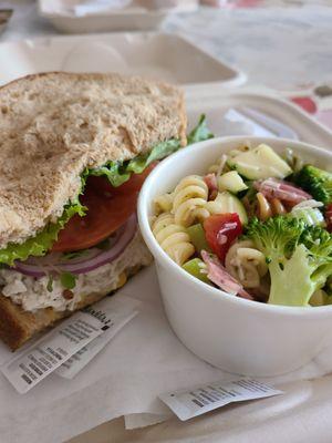 My chicken salad sandwich with all the veggies and the pasta salad.