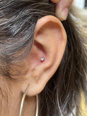 Conch piercing