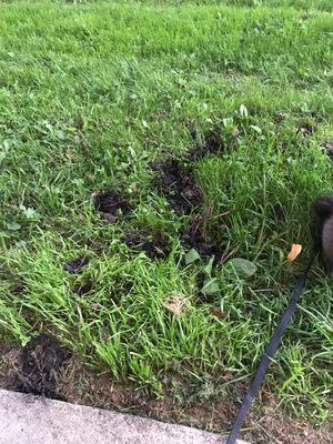 The property cleaned our gutters today but didn't bother to dispose of what they cleaned out of them. So lazy.... and disgusting.