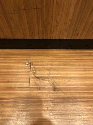 The floor of the elevator. Indicative of the overall hotel cleanliness.