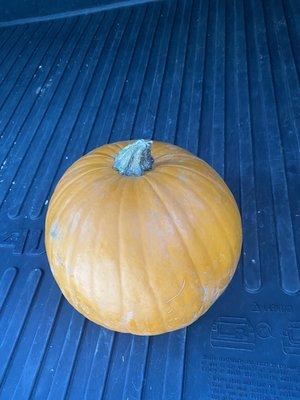 The pumpkin we were told to pay for still has a stem.