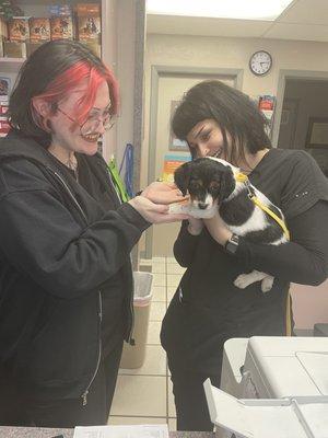 Thank you to the wonderful staff for a great first vet visit for little Chili!