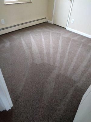 All-Ways Carpet & Upholstery Cleaning