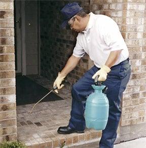 Pest control is more than just spraying pesticides all over. Our technicians are true experts in their field.