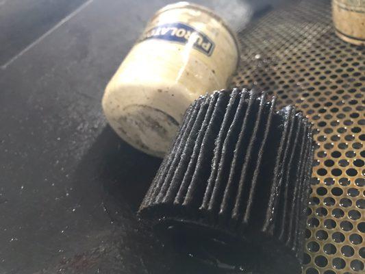 My oil is changed regularly and this is what I find when I used jiffy lube, didn't even change the filter.