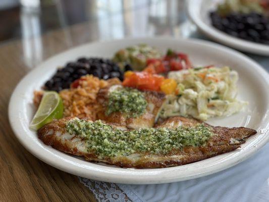 Red snapper fish plate