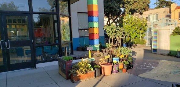 There's plants and lots of colors. A nice place to hang out.