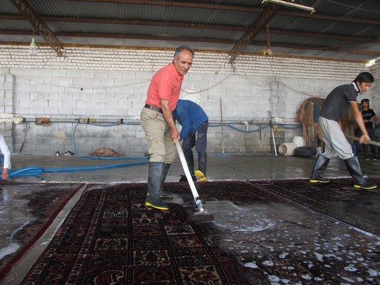 RUG CLEANING PROFESSIONALLY