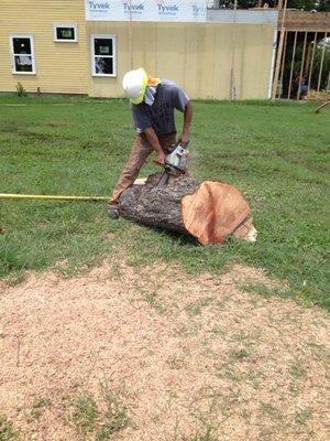 Tree Removal & Stump Grinding