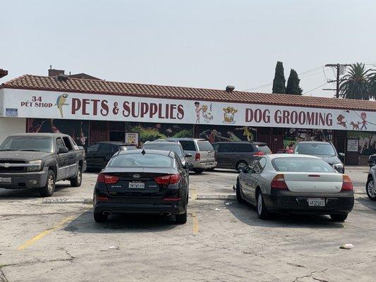 The BEST Pet Shop ever!